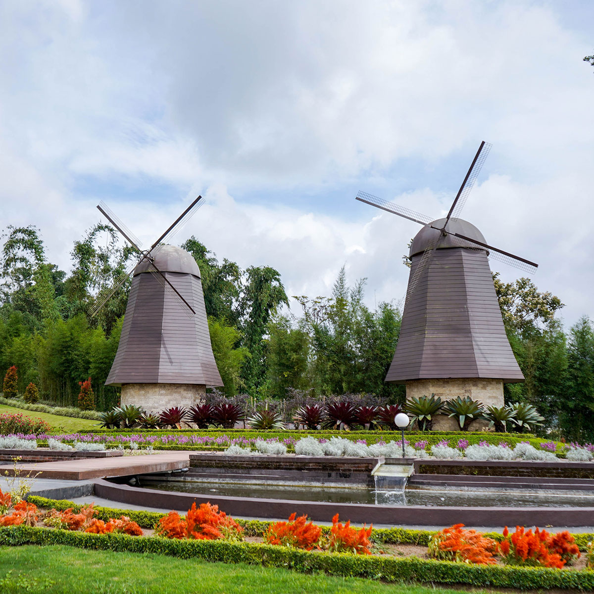 The Blooms Garden